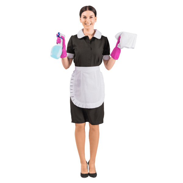 Cleaning Experts at Lightning Cleaning Tampa
